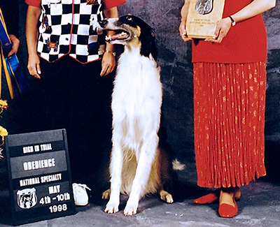 Top Obedience Borzoi 1998